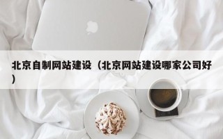 山南北京自制网站建设（北京网站建设哪家公司好）